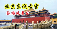 被大鸡巴操小穴视频中国北京-东城古宫旅游风景区